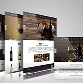 【嘉定網(wǎng)站設(shè)計】華夕SEO網(wǎng)絡(luò)優(yōu)化網(wǎng)頁設(shè)計的新視角